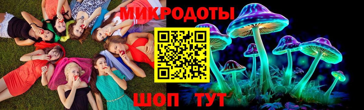 Галлюциногенные грибы мицелий Вышний Волочёк
