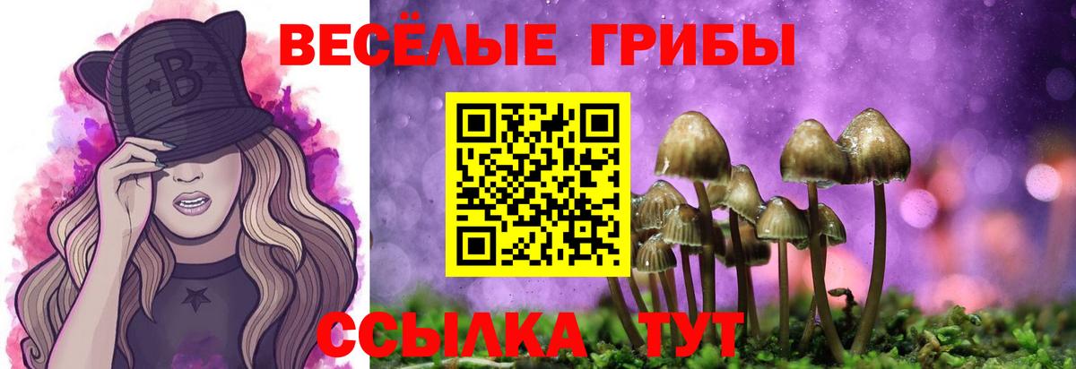 как найти наркотики  Галлюциногенные грибы прущие грибы  Вход с VPN  Вышний Волочёк  Галлюциногенные грибы Magic Shrooms 